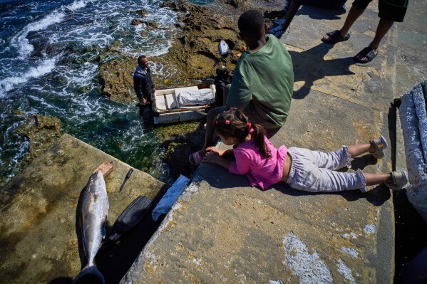 People watch as fishermen pull their catch from the sea during a blackout in Havana, Sunday, March 22, 2026. (AP Photo/Ramon Espinosa)