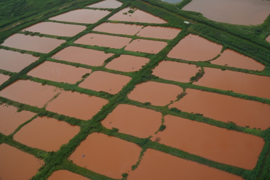 Oʻahu's North Shore farmlands are seen flooded by the second Kona Low storm. (March 21, 2026)