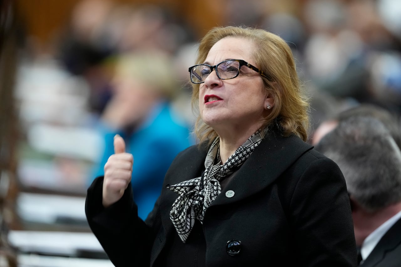 Immigration Minister Diab says investigations into fraud will be "centralized" at her department. 