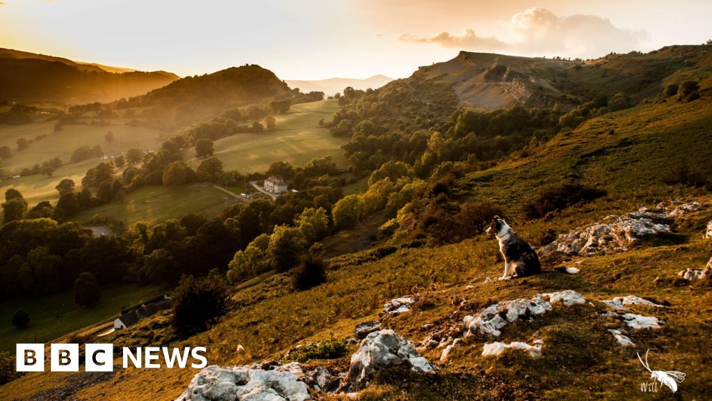 Plans for UK's newest national park head to public enquiry - BBC