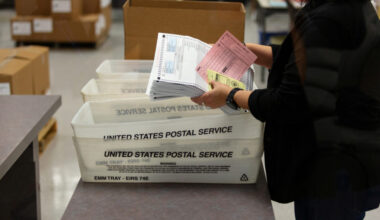 Voters cast their ballots in the Democratic primary in Sun City