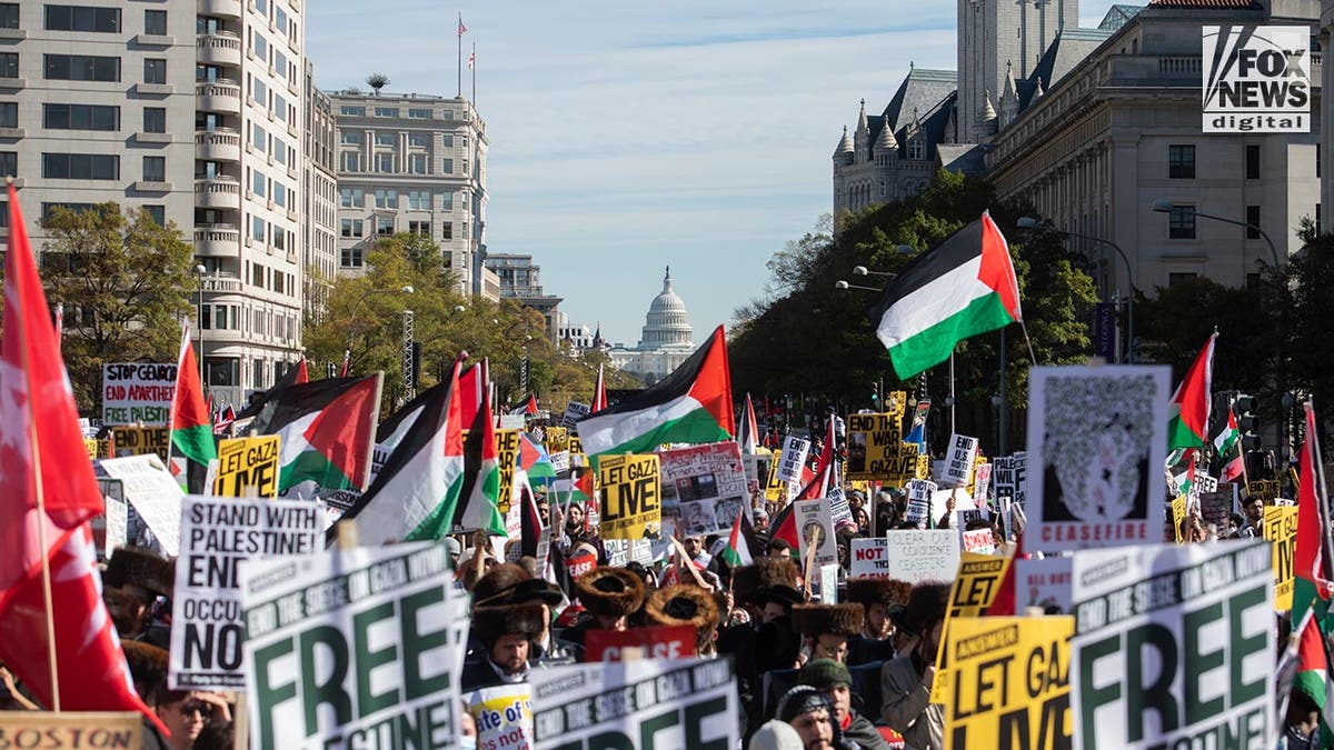 Pro-Palestine protestors in DC