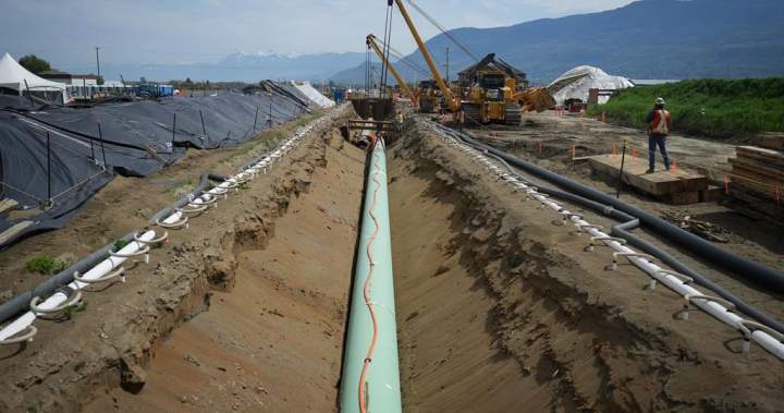 Price surge from Trans Mountain expansion highlights need for new pipelines: MEI