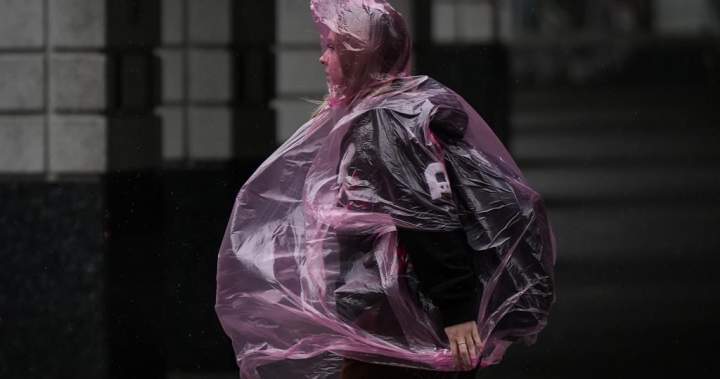 Strong atmospheric river forecast to hit coastal B.C. as spring break begins - BC