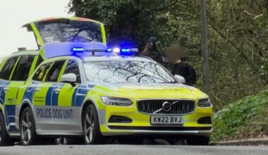 Pictures show teen's arrest after Thorpe St Andrew stabbing