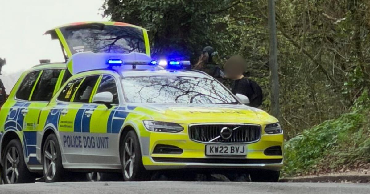 Pictures show teen's arrest after Thorpe St Andrew stabbing