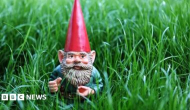A garden gnome with a red hat in some grass.