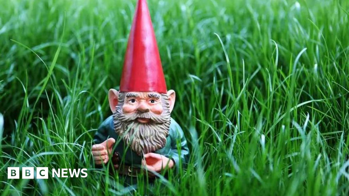A garden gnome with a red hat in some grass.