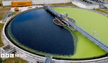 An aerial photos of a sewage treatment works, showing a round filtration pond half covered with green algae on the right. Surrounding the pond is a grass area and some smaller tanks to the right