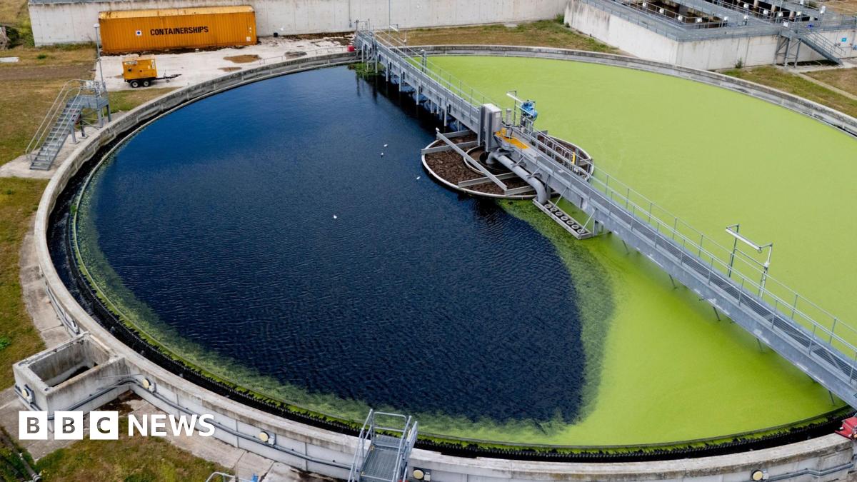 An aerial photos of a sewage treatment works, showing a round filtration pond half covered with green algae on the right. Surrounding the pond is a grass area and some smaller tanks to the right