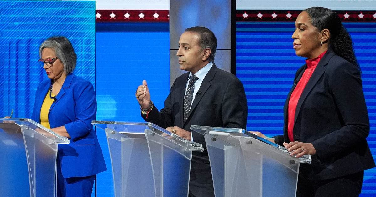 Illinois Senate primary tests Democrats' anti-ICE message