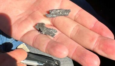 'One in a million' live fire malfunction rained shrapnel on California highway, military report says