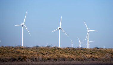 Trump administration to pay energy firm $1 billion to stop East Coast wind farms