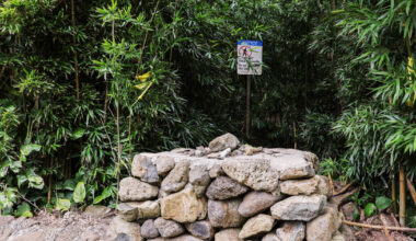 Wife of Maui doctor describes terrifying birthday hike at attempted murder trial