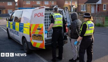 Police putting a man into a police van on a street with houses of light brown brick either side. The man in custody is young and is wearing a grey padded hoodie
