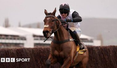 Darragh O'Keeffe riding Heart Wood at Cheltenham