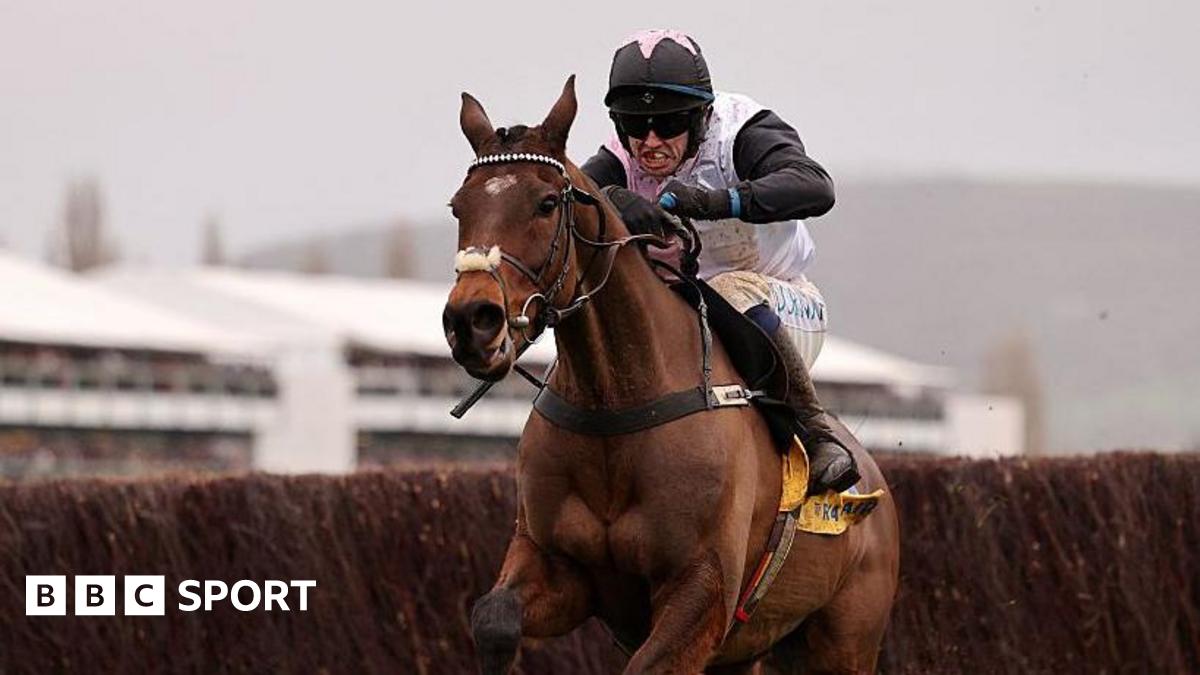 Darragh O'Keeffe riding Heart Wood at Cheltenham