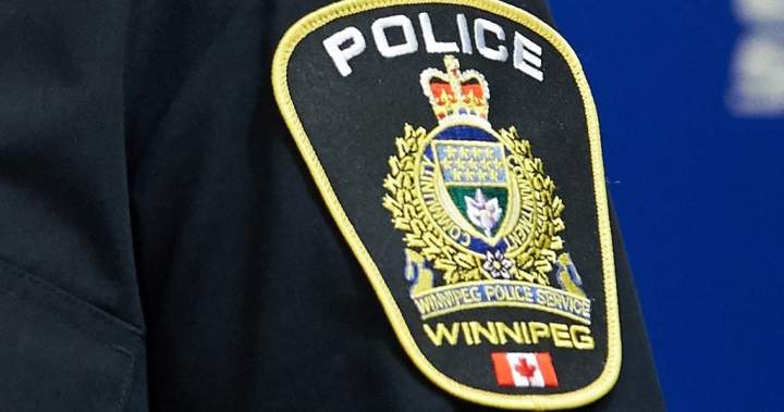 Winnipeg security guard charged after suspected shoplifter punched with brass knuckles - Winnipeg