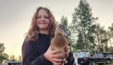 Family sues OpenAI over shooting