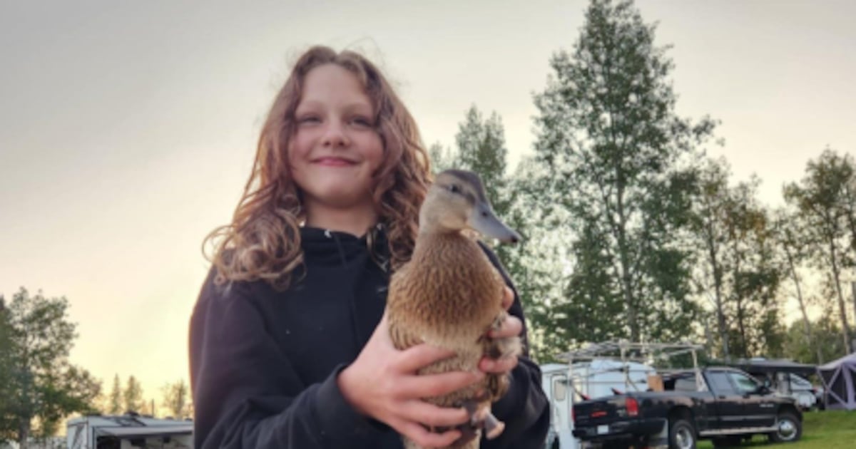 Family sues OpenAI over shooting