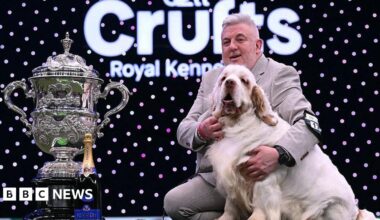 Owner Lee Cox and his clumber spaniel next to the Crufts trophy