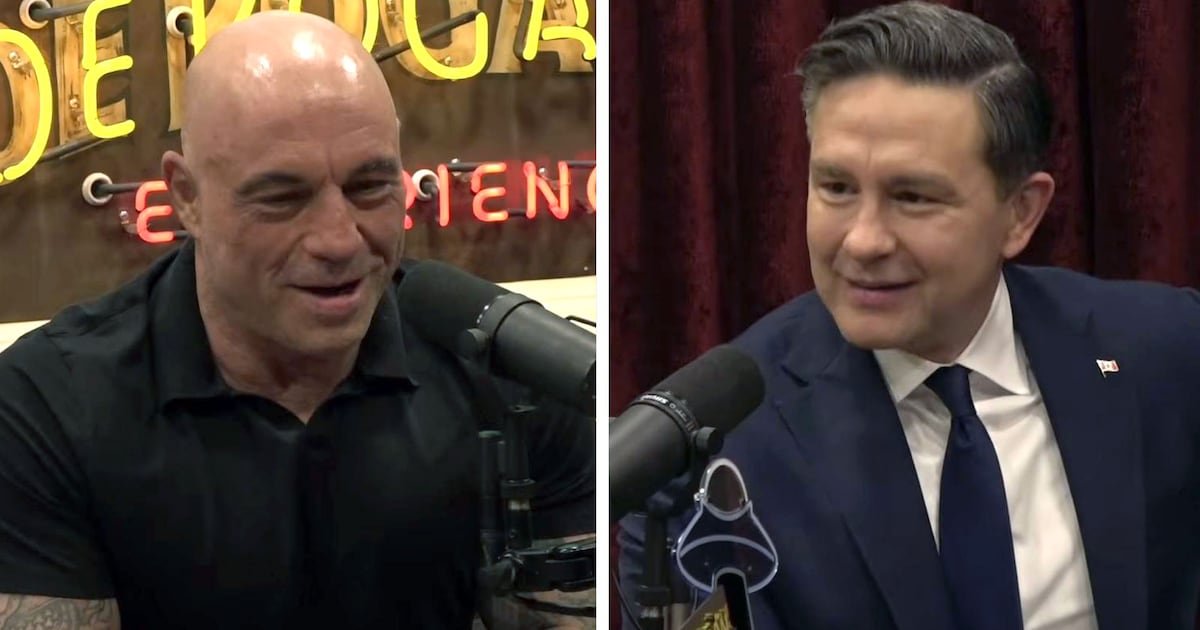 Poilievre set up ‘Joe Rogan Experience’ interview himself, Conservative campaign manager says - CTV News