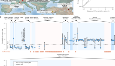 Genomic history of early dogs in Europe