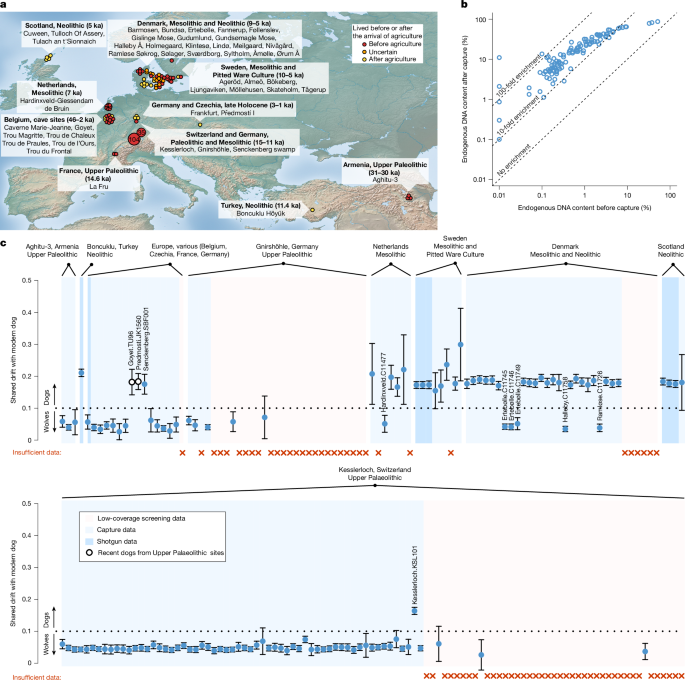 Genomic history of early dogs in Europe