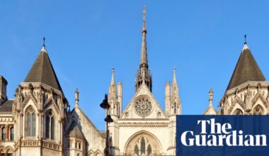 Court of appeal says it cannot rule on which identical twin fathered a child | Children