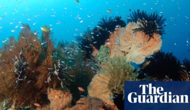 Earth being ‘pushed beyond its limits’ as energy imbalance reaches record high | Oceans