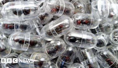 Chinese national arrested over attempt to smuggle 2,000 queen ants from Kenya - BBC