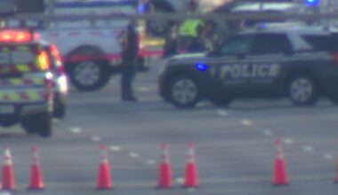 Dog killed in I-495 stabbings belonged to the suspect, Virginia State Police say