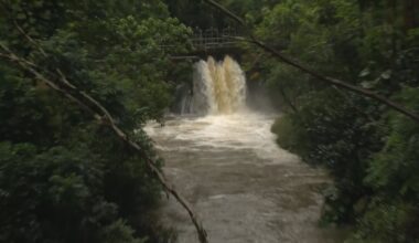 Honolulu emergency official gives update on Kona Low storm impacts on Oahu