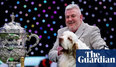 Crufts winner’s animal cruelty conviction prompts complaints to Channel 4 | Crufts