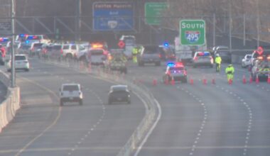 Suspect in deadly Beltway stabbing killed his own dog, police say