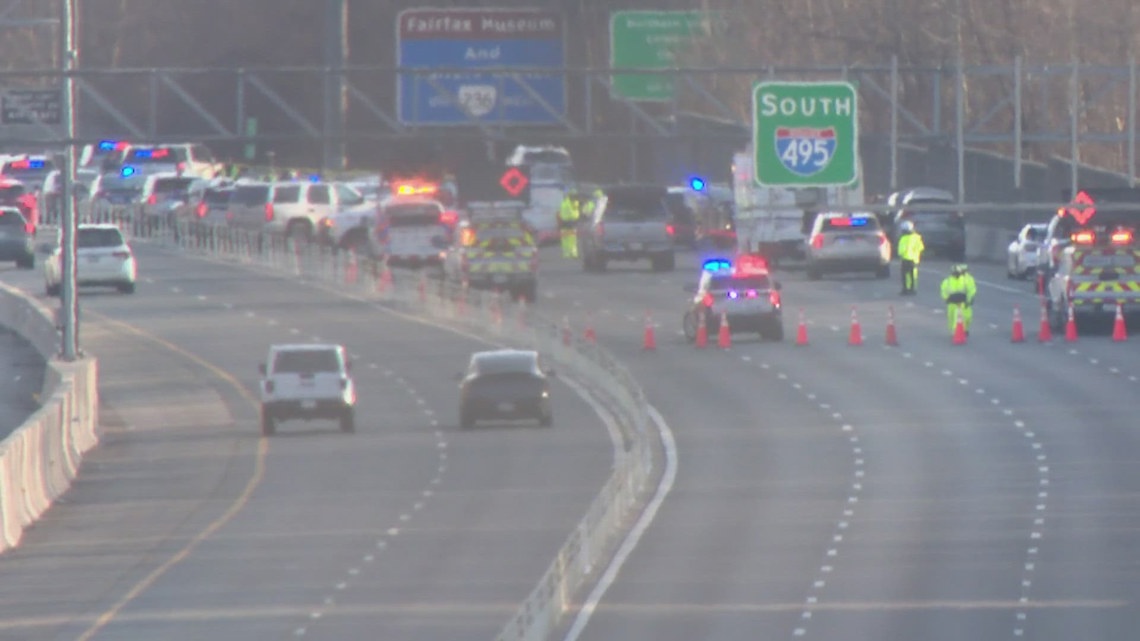 Suspect in deadly Beltway stabbing killed his own dog, police say