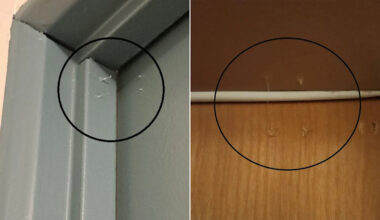 How sticky-fingered thieves use hot glue to find break-in targets in Vancouver