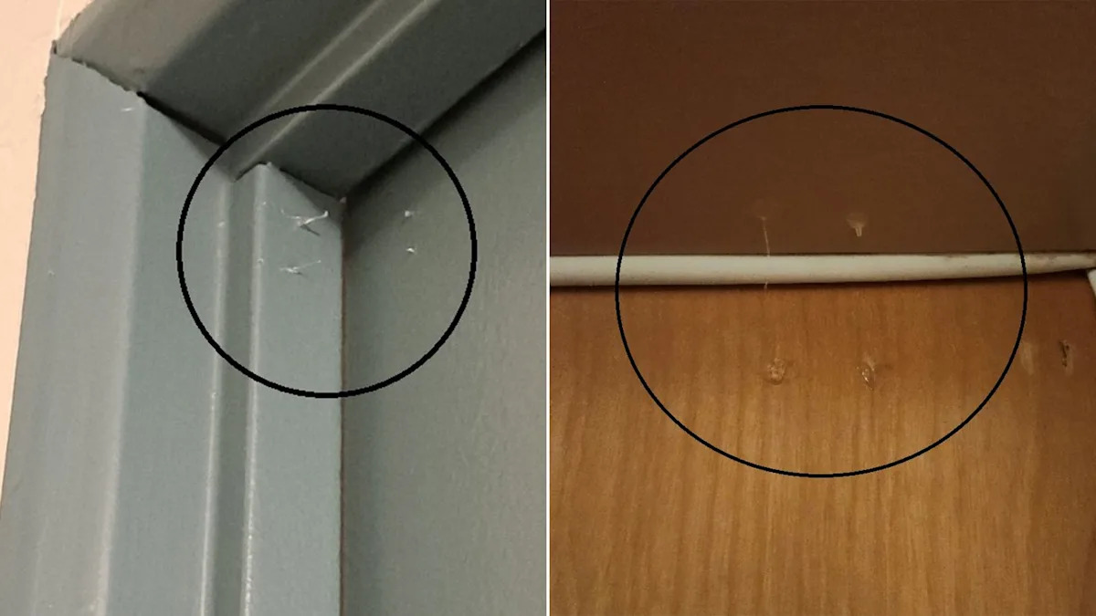 How sticky-fingered thieves use hot glue to find break-in targets in Vancouver