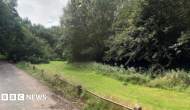 A wooded area and path in Pleck Park, Walsall.