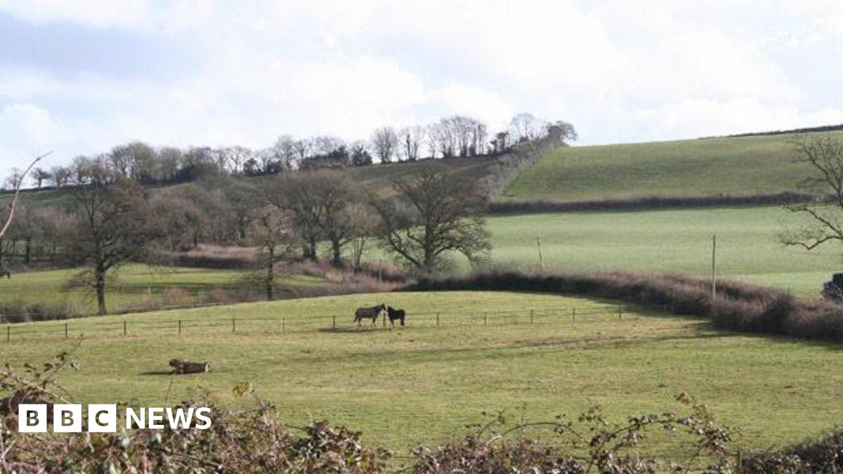 A scenic shot of the Duchy of Cornwall Bradninch estate, near Cullompton. There are a few horses in the distance and some trees and lots of green fields.