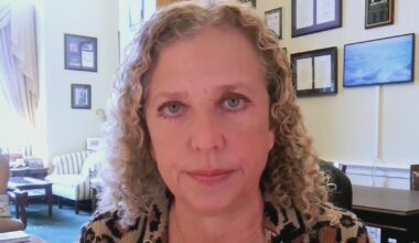 Florida Democratic Rep. Debbie Wasserman Schultz says Trump made mistake by not coming to Congress before war with Iran