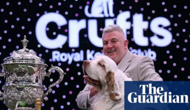 Four-year-old clumber spaniel called Bruin wins best in show at Crufts | Crufts