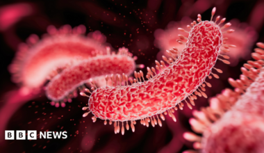 Bacteria medical illustration showing red worm like shapes as seen under a microscope