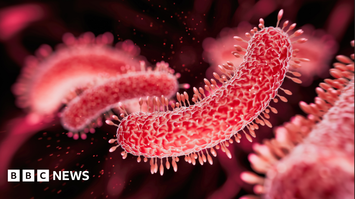 Bacteria medical illustration showing red worm like shapes as seen under a microscope