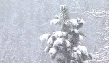 Gov. Evers declares state of emergency ahead of winter storm | News