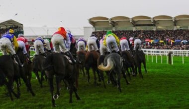 Cheltenham Gold Cup horse Envoi Allen dies after collapsing after race | Racing | Sport