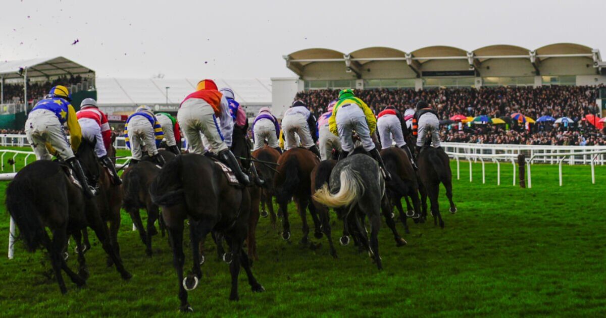 Cheltenham Gold Cup horse Envoi Allen dies after collapsing after race | Racing | Sport