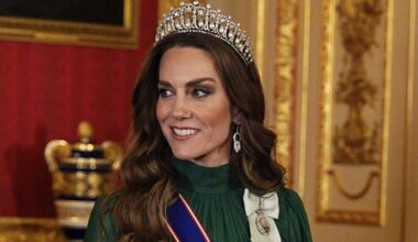 Princess Kate wows in stunning ball gown at state banquet | Royal | News