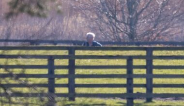 Andrew walks dogs near Marsh Farm as he's seen for first time since ar | Royal | News