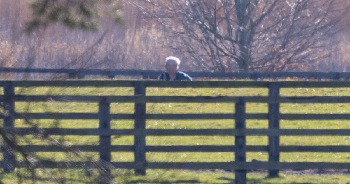 Andrew walks dogs near Marsh Farm as he's seen for first time since ar | Royal | News